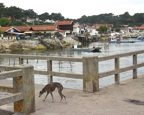 Becken von Arcachon 3