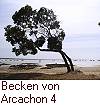 Becken von Arcachon 4