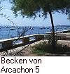 Becken von Arcachon 5