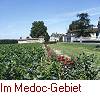 Im Medoc-Gebiet